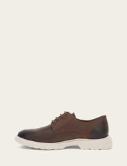 Men's Chocolate Connor Oxford Dress Shoes Chocolate