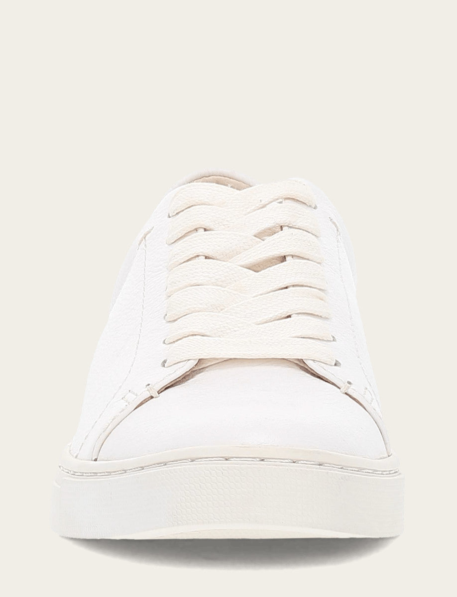 Women's White Ivy Low Lace Sneakers White