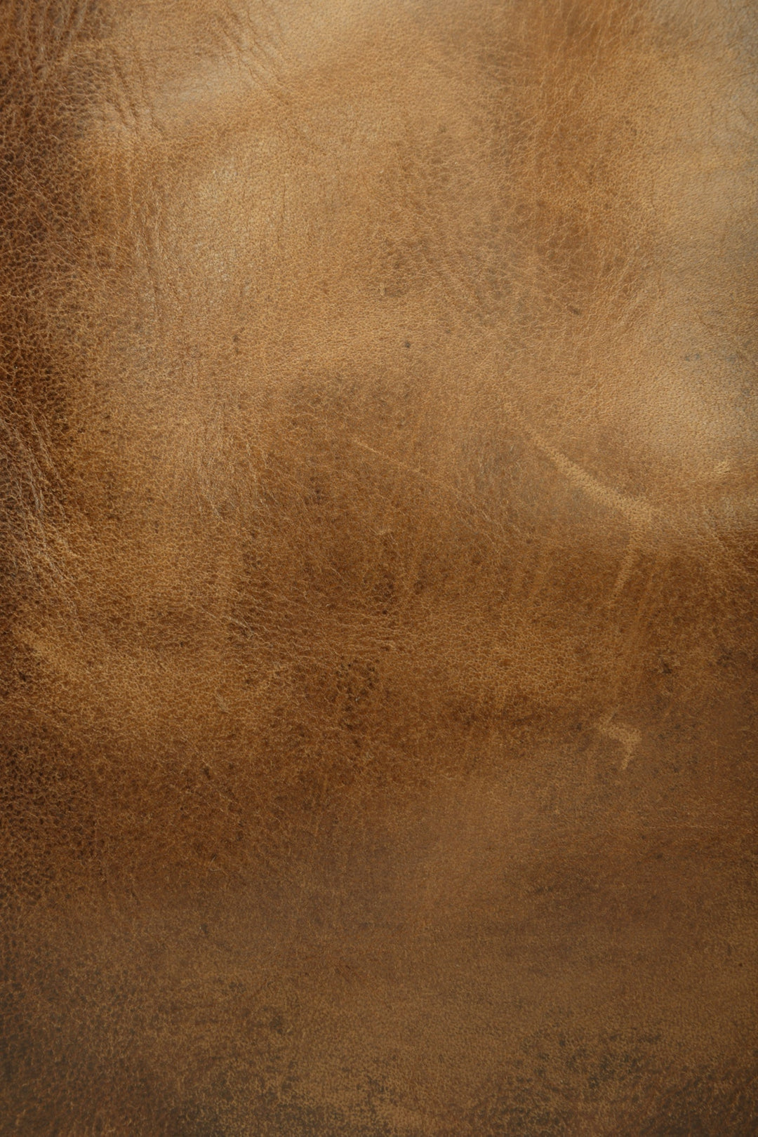 Melissa Cognac Tote Cognac