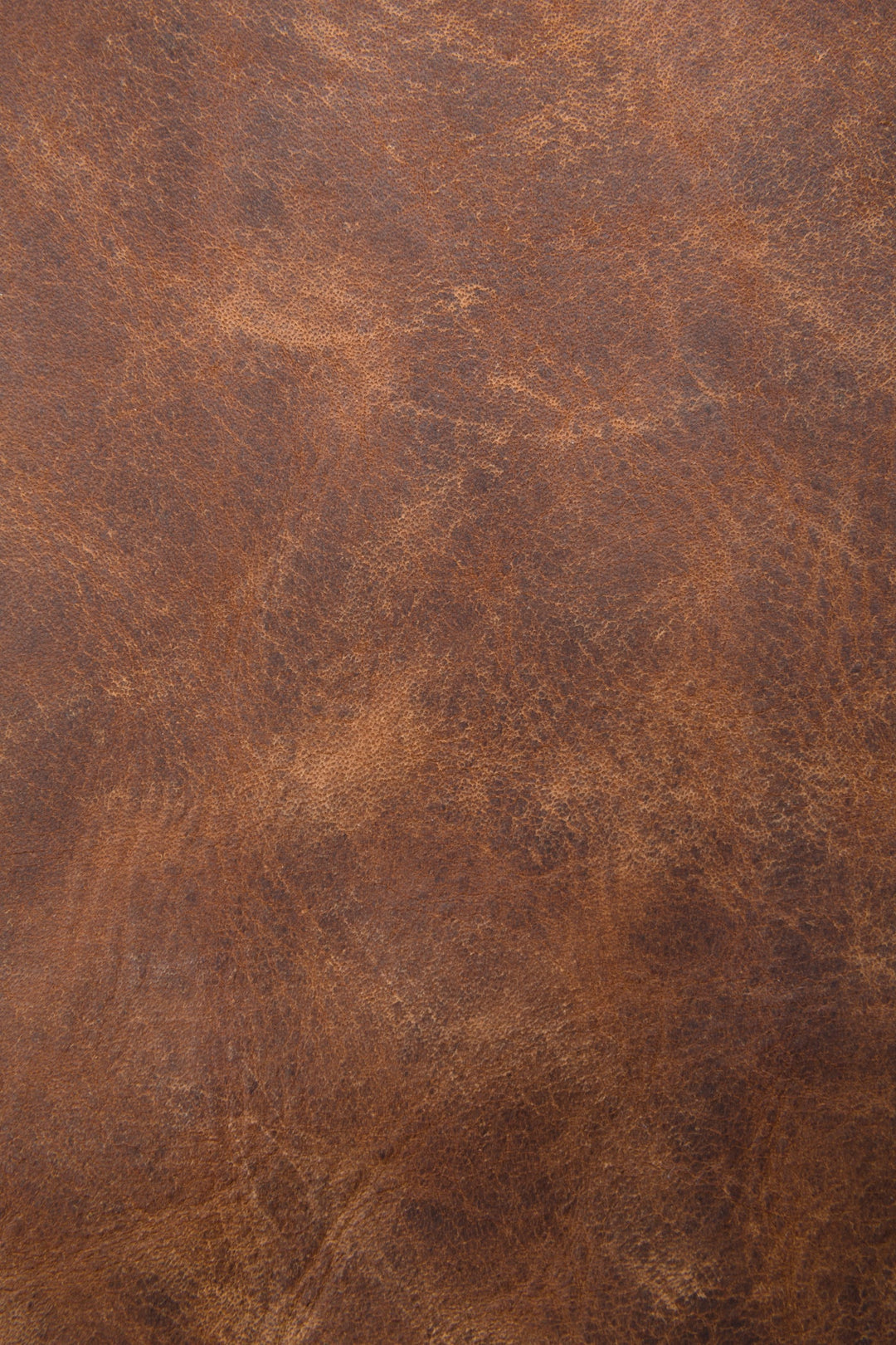 Melissa Cognac Hobo Cognac
