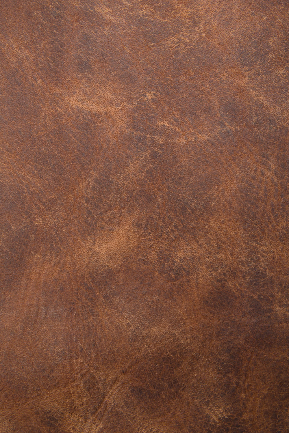 Melissa Cognac Hobo Cognac