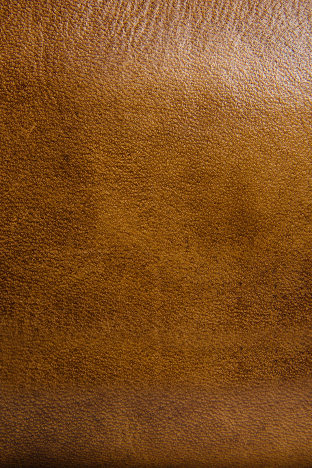 Melissa Beige Zip Wallet Beige