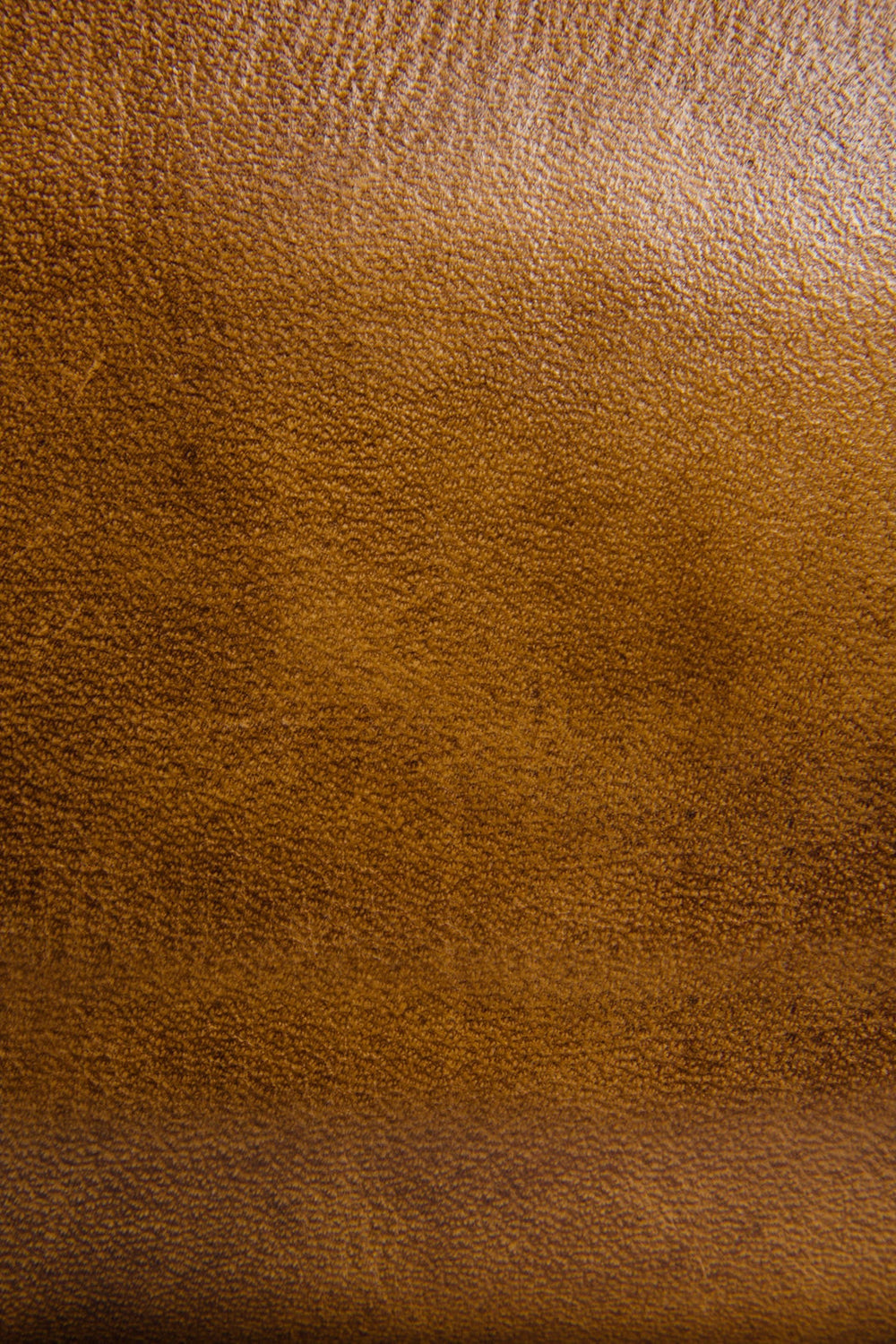Melissa Beige Zip Wallet Beige