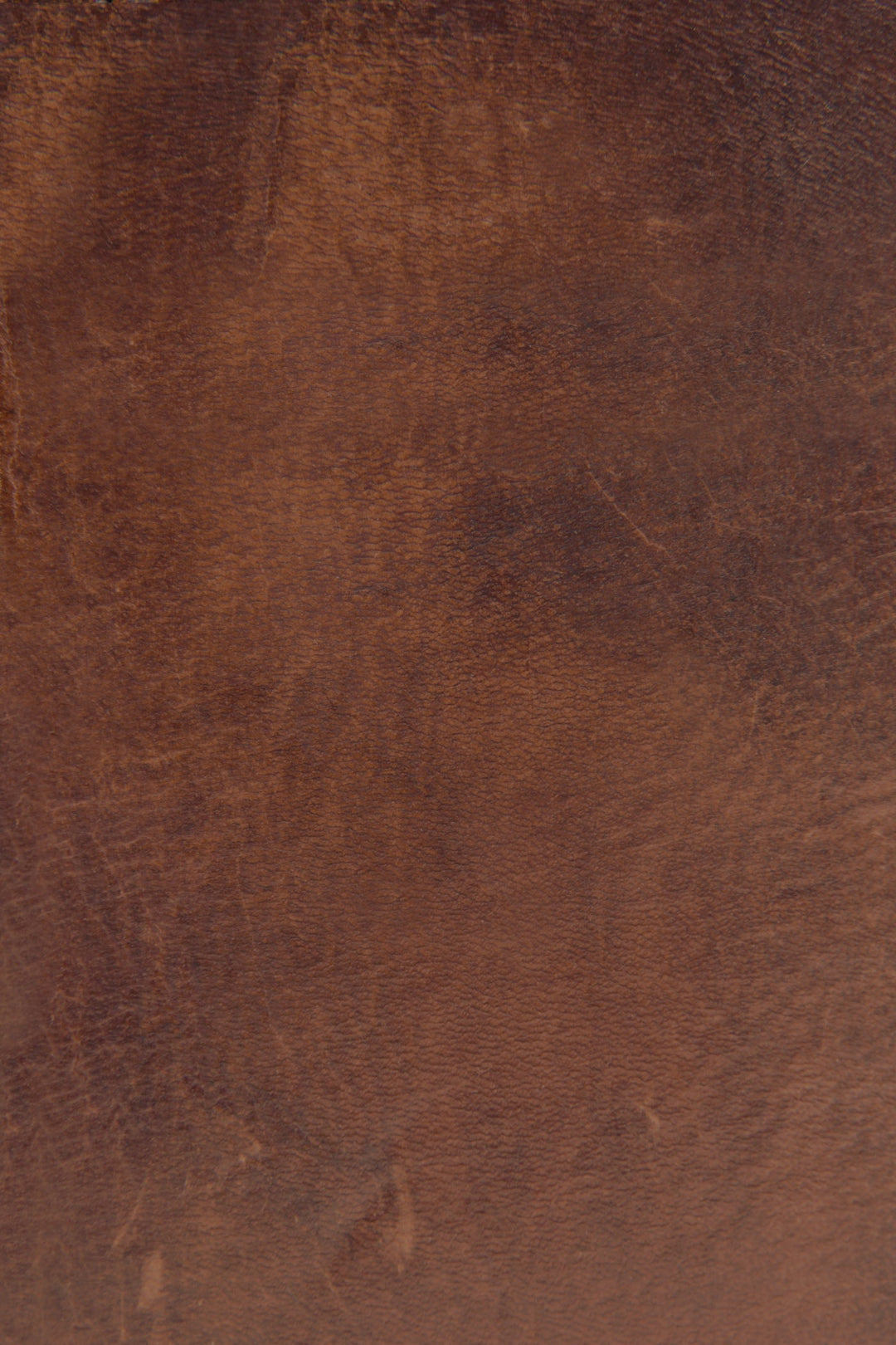 Melissa Cognac Zip Wallet Cognac