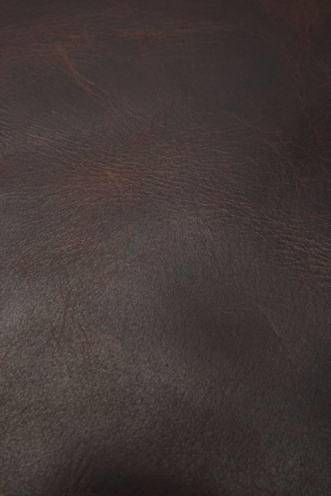 Logan Dark Brown Backpack Dark Brown