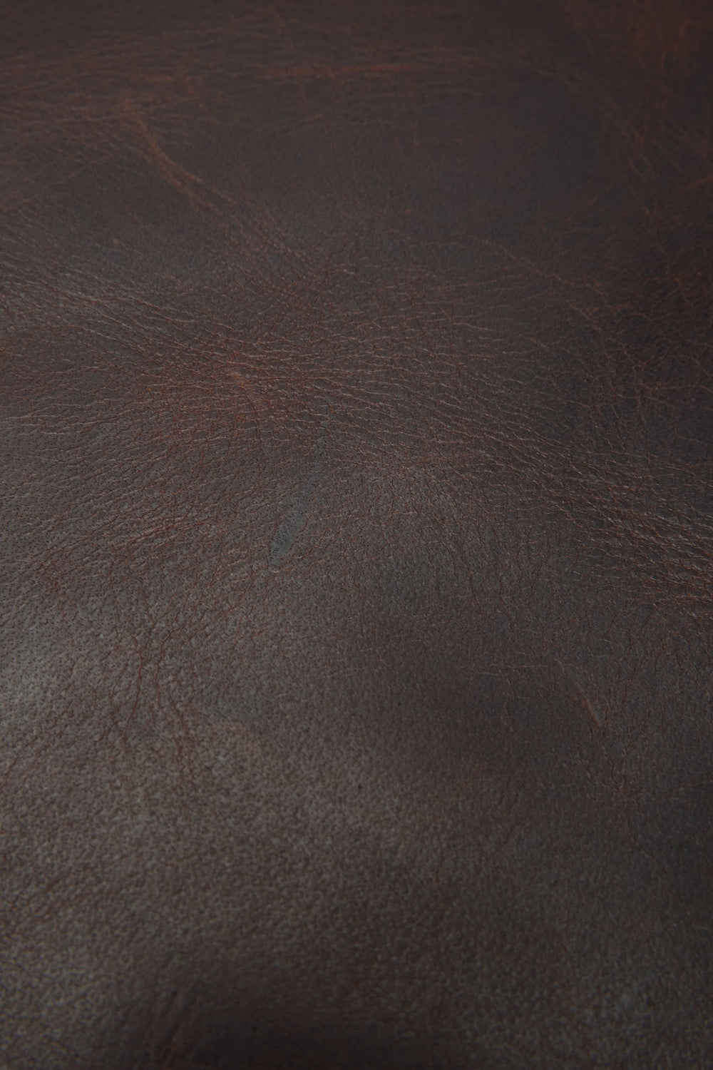 Logan Dark Brown Backpack Dark Brown