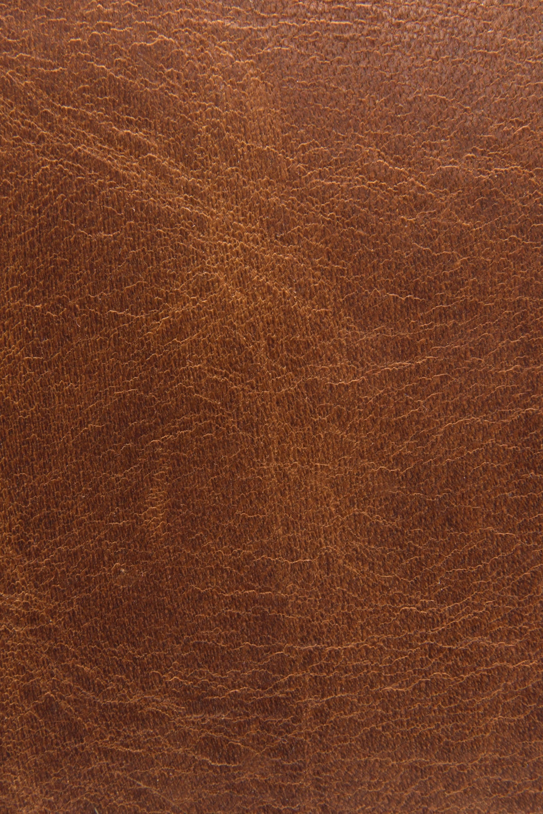 Logan Cognac Top Handle Cognac