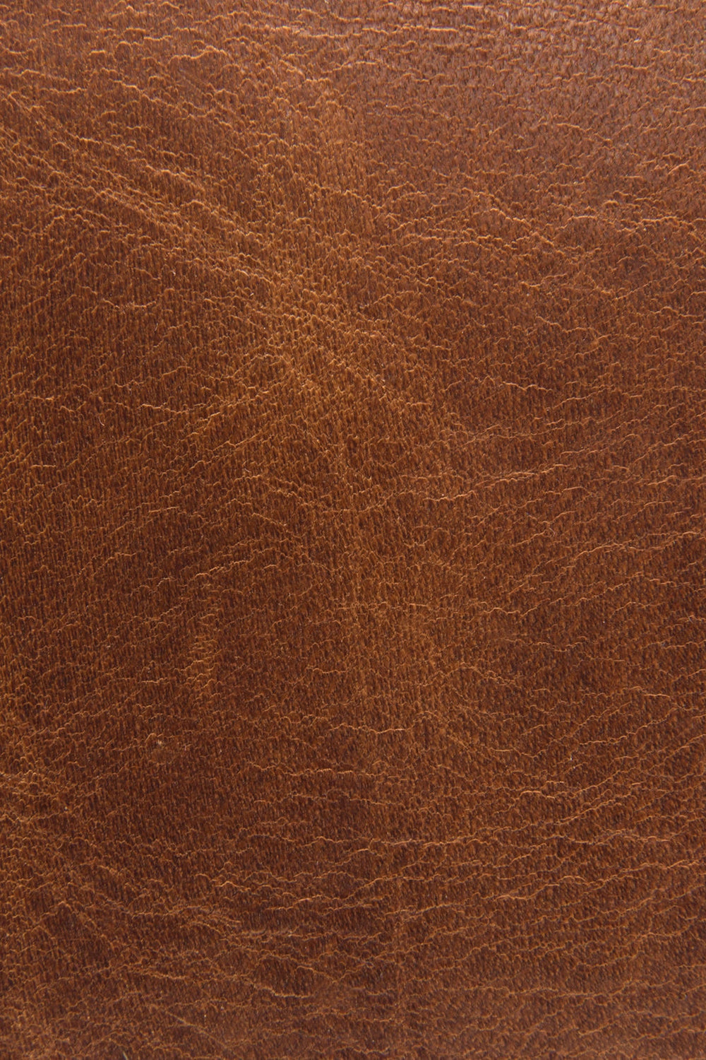 Logan Cognac Top Handle Cognac